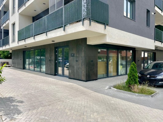 ferestre-salamander-1