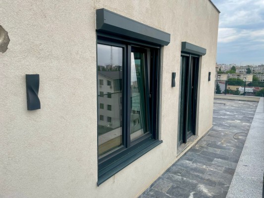 ferestre-salamander-5