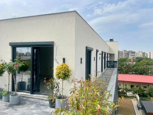 ferestre-salamander-6