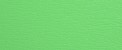 Pastellgrun F436 5020 122 50